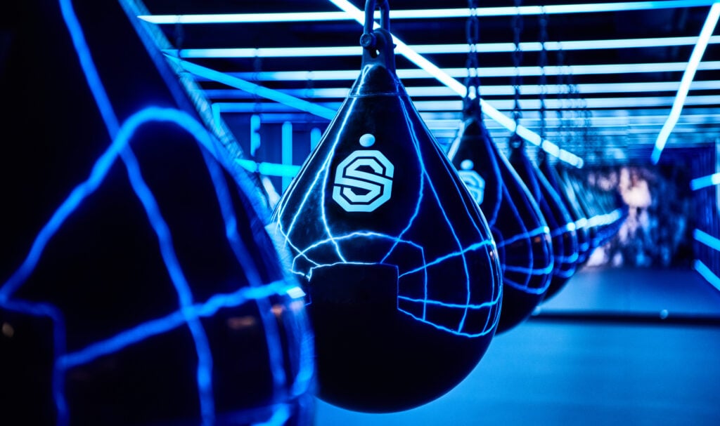 fitness experience met bokszakken